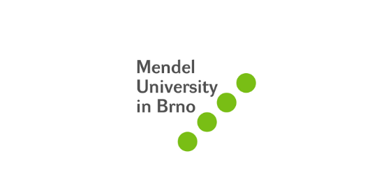 Master's Degree, Computer Science preview image